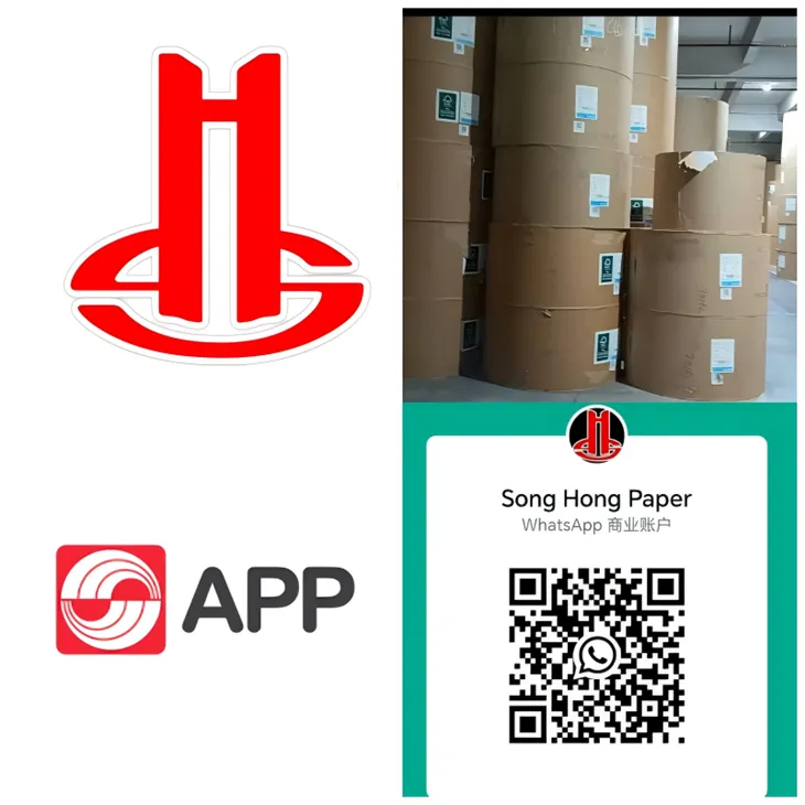 App Paper Recyklovaná potažená bílá duplexní deska